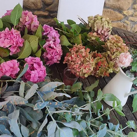 Fuente De Gueelo Country house