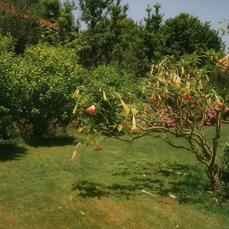 Casa di campagna Fuente De Gueelo