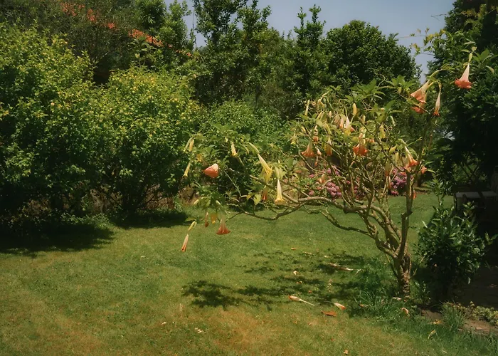 Landsted Fuente De Gueelo